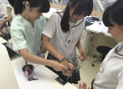 歯科衛生士の体験