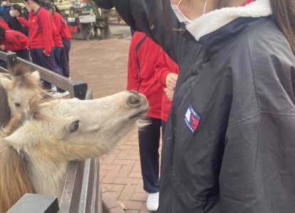 動物と触れ合う生徒②