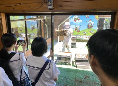 藤井養蜂場での様子②