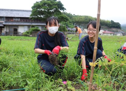 S組農園③