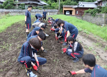 S組農園①