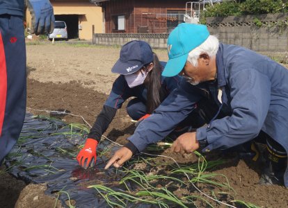 S組農園⑧