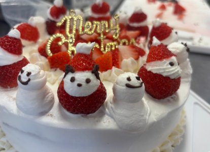 クリスマスケーキ⑧
