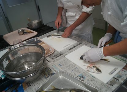 お魚教室⑬