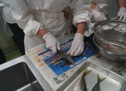 お魚教室⑫