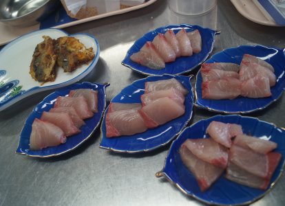 お魚教室㉑