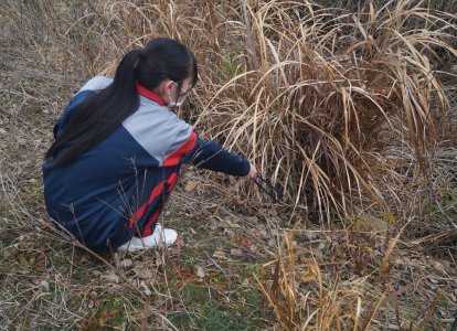 地域清掃⑧